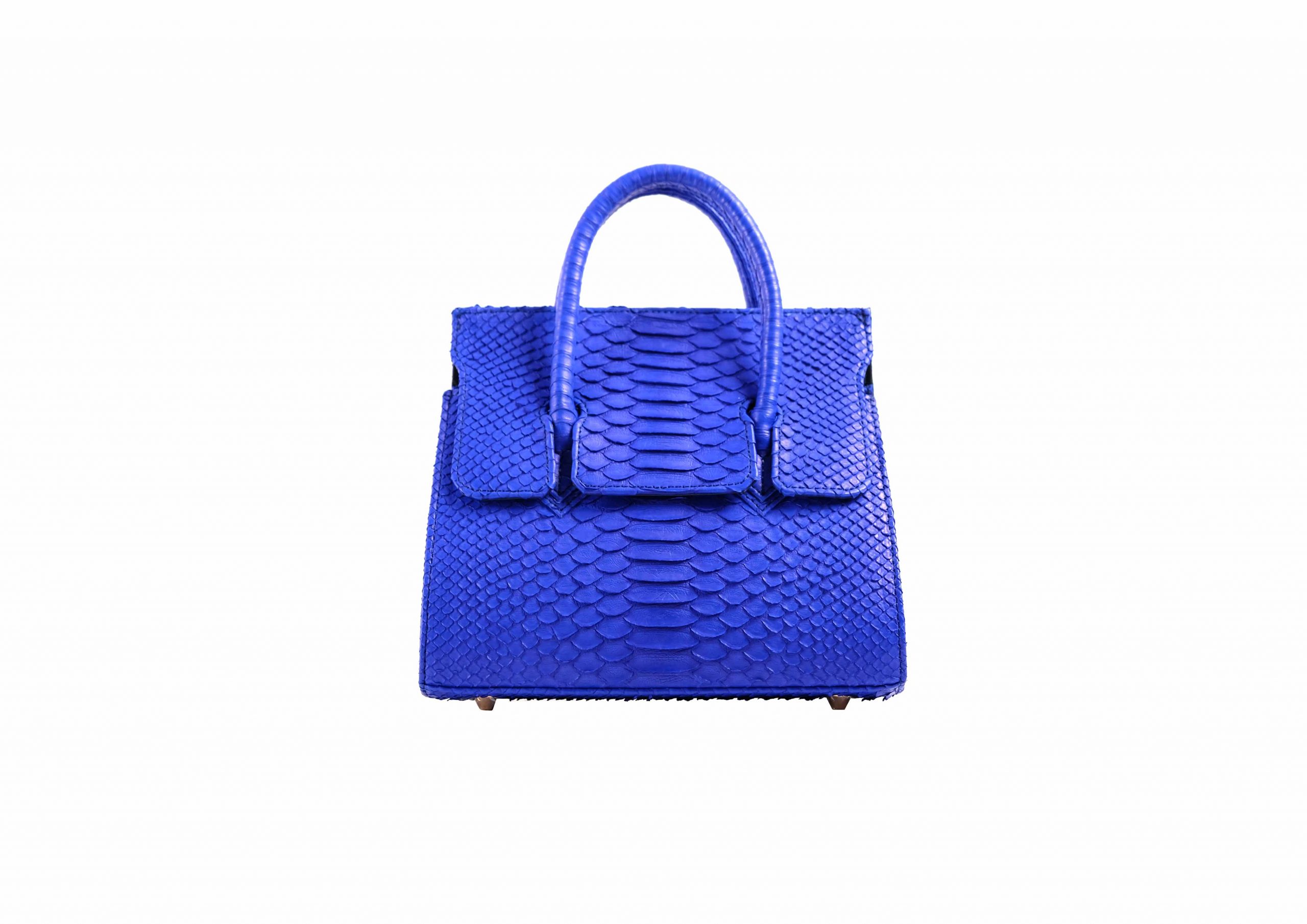 Adriana Small in Electric Blue