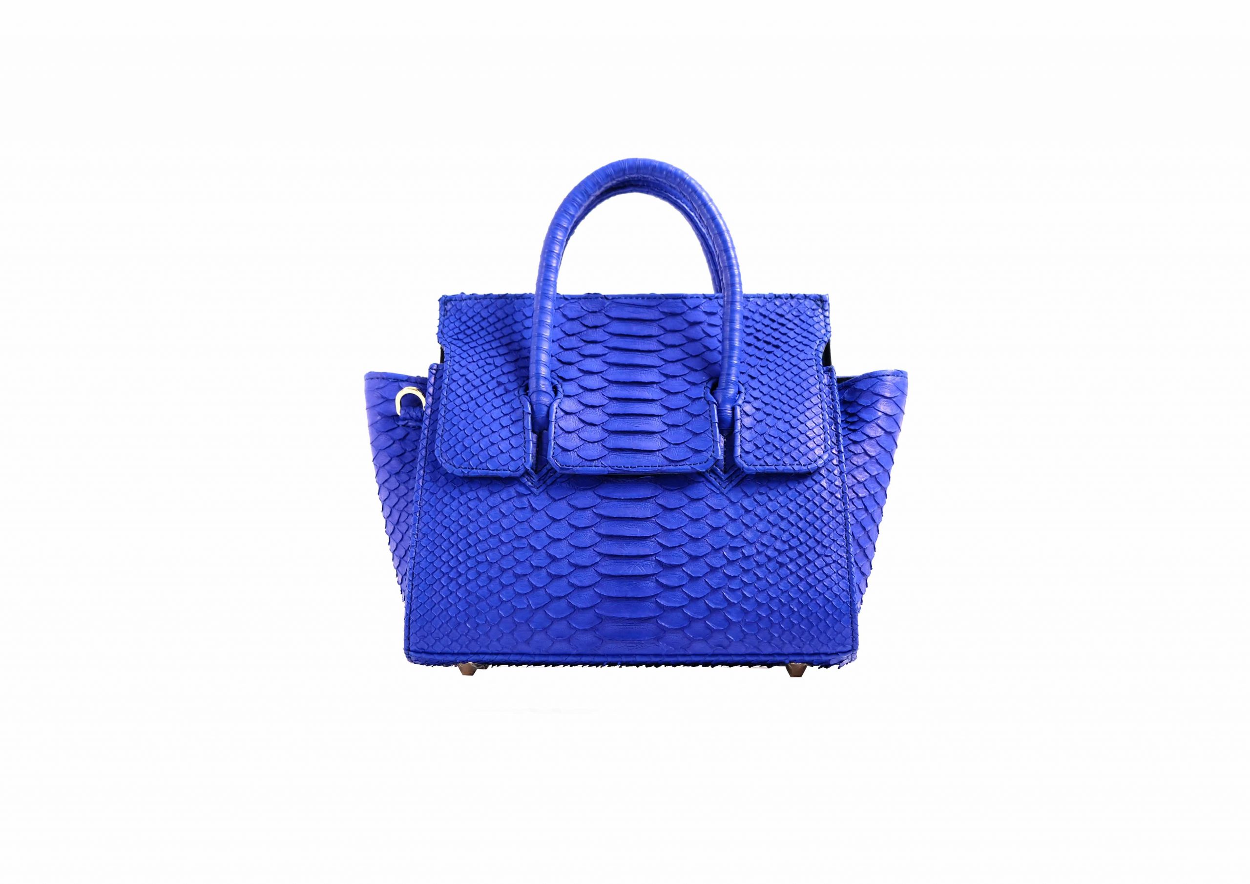 Adriana Small in Electric Blue - Image 3