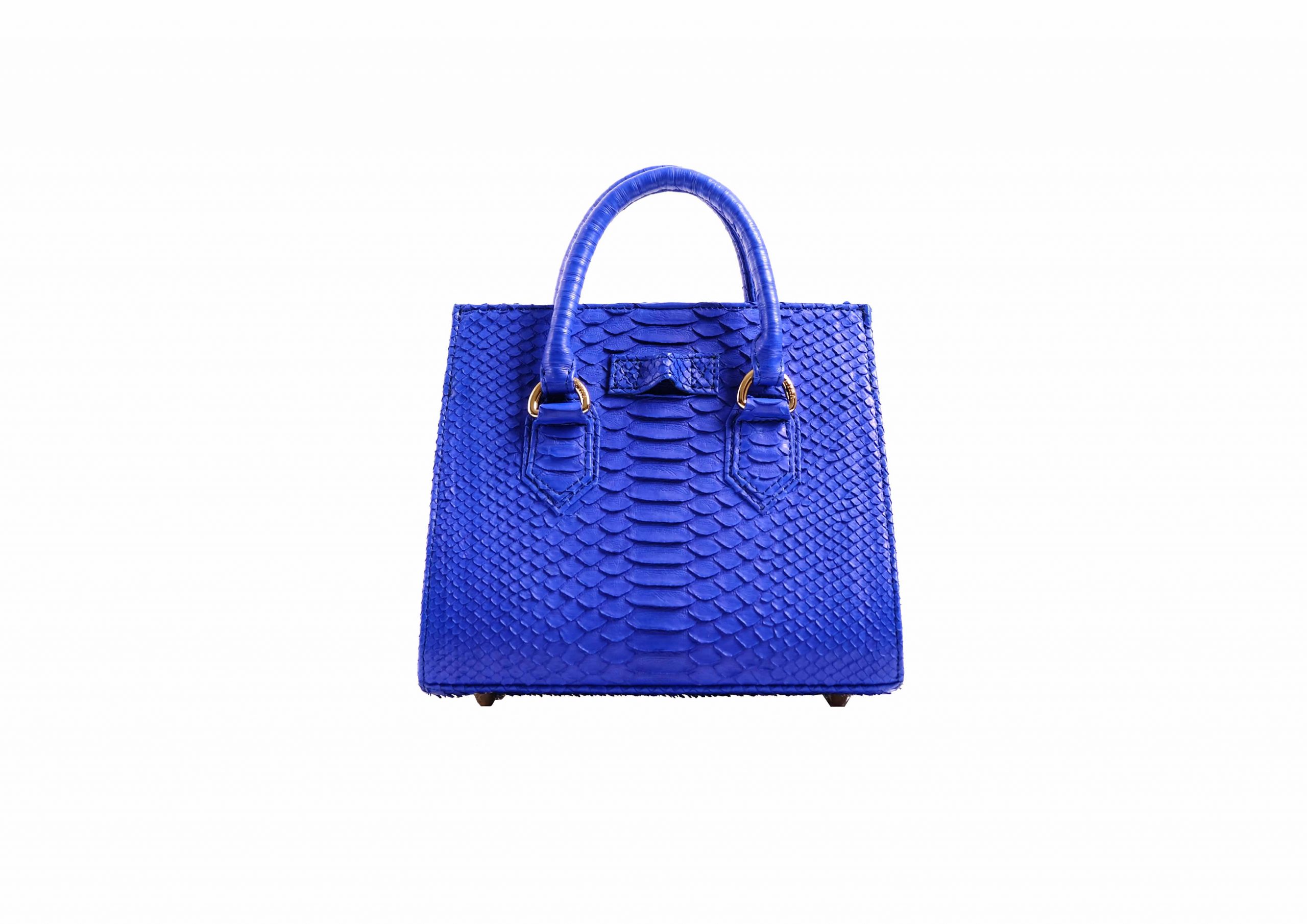Adriana Small in Electric Blue - Image 7