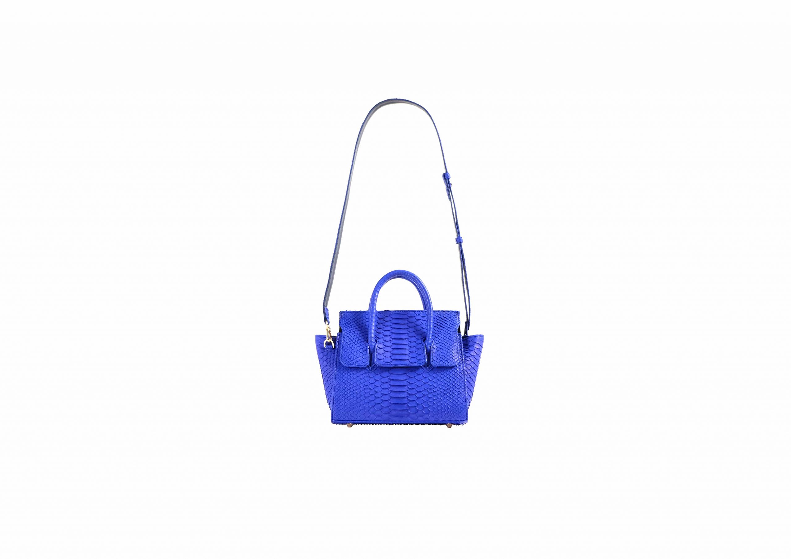 Adriana Small in Electric Blue - Image 9
