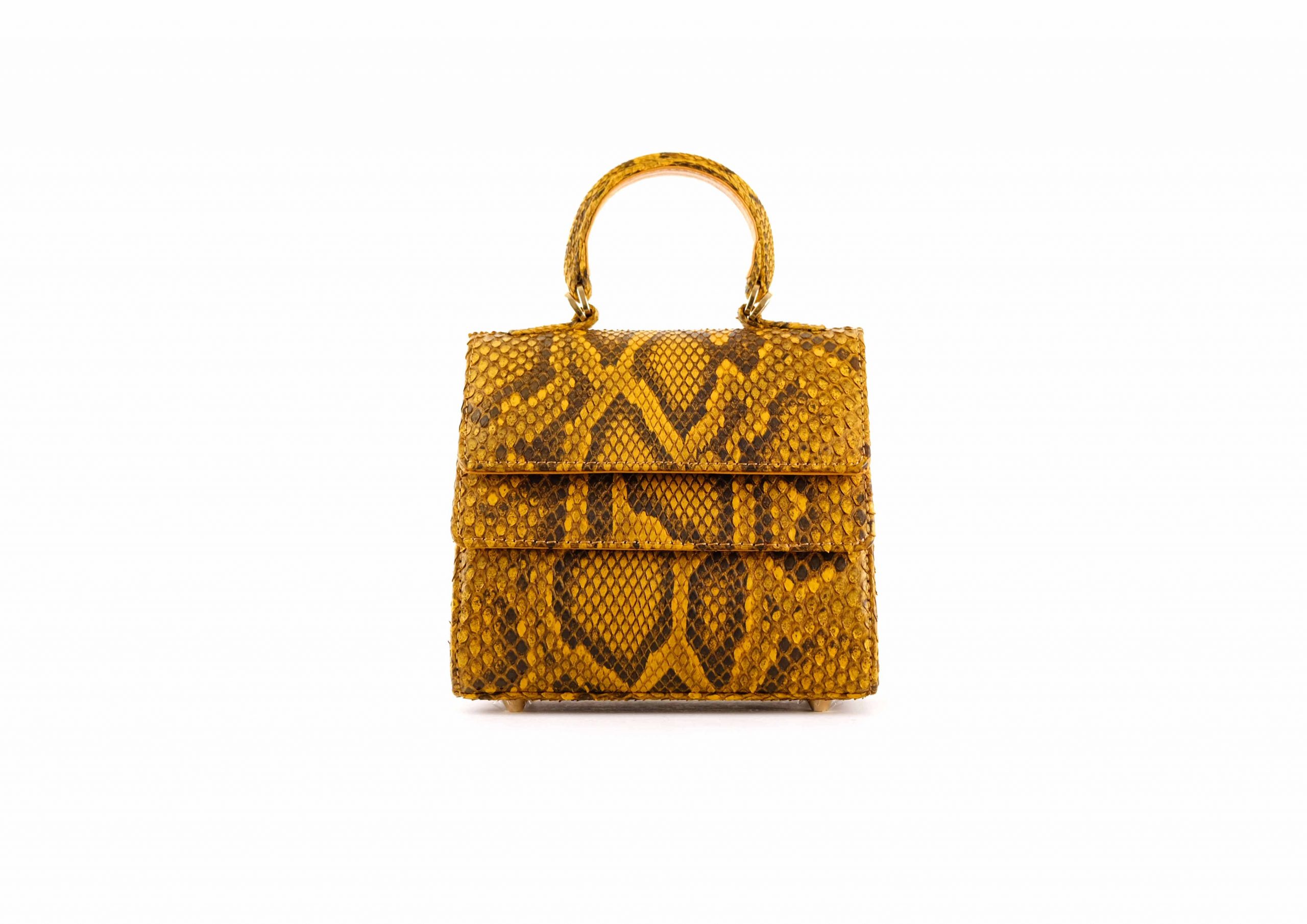 RUBBY SMALL IN MUSTARD MOROLUS