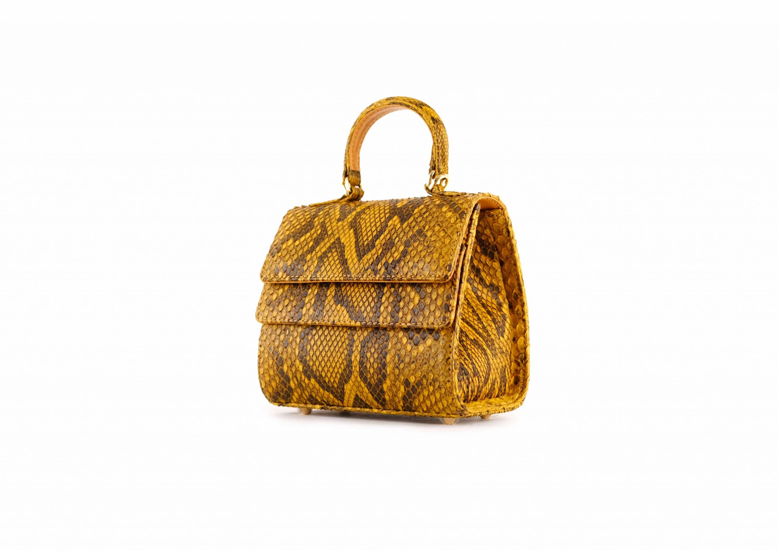 RUBBY SMALL IN MUSTARD MOROLUS - Image 3