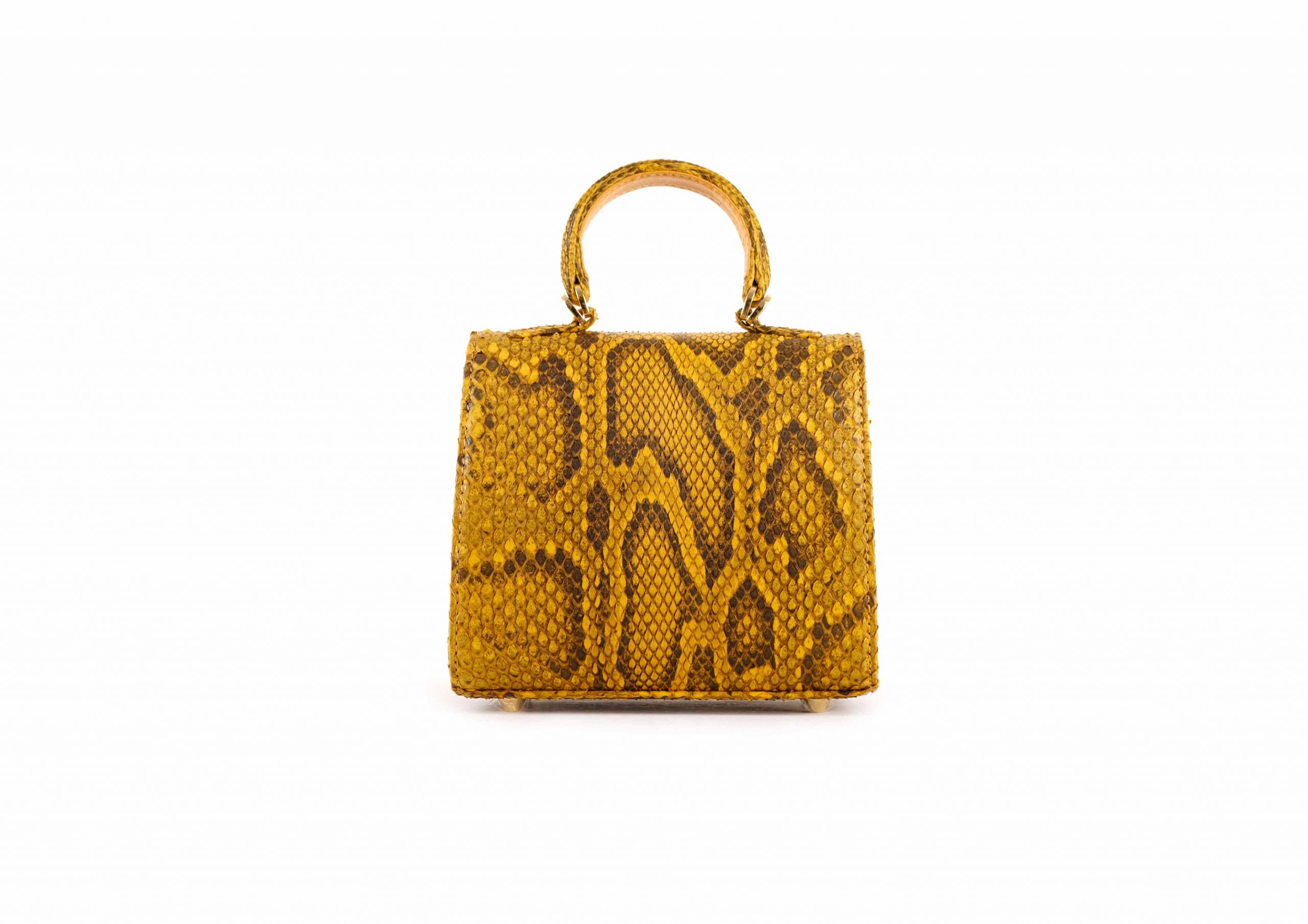 RUBBY SMALL IN MUSTARD MOROLUS - Image 5