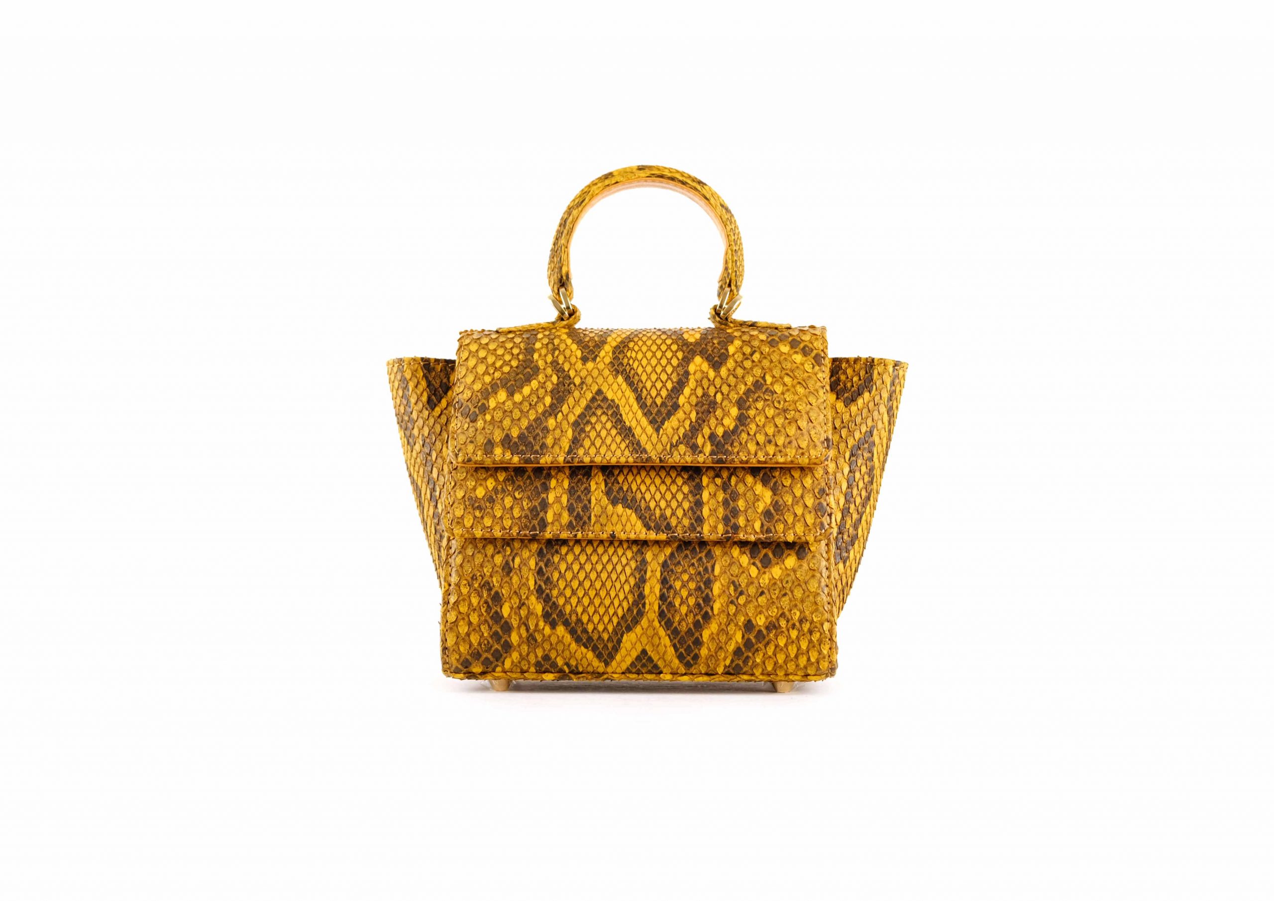 RUBBY SMALL IN MUSTARD MOROLUS - Image 6
