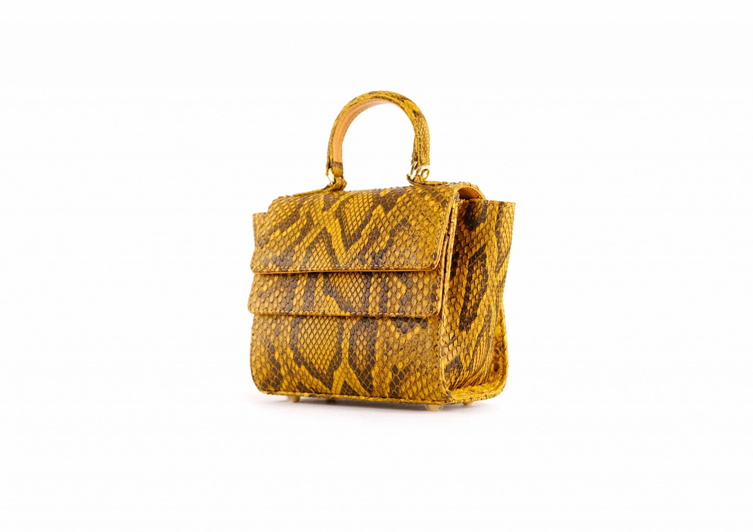 RUBBY SMALL IN MUSTARD MOROLUS - Image 7