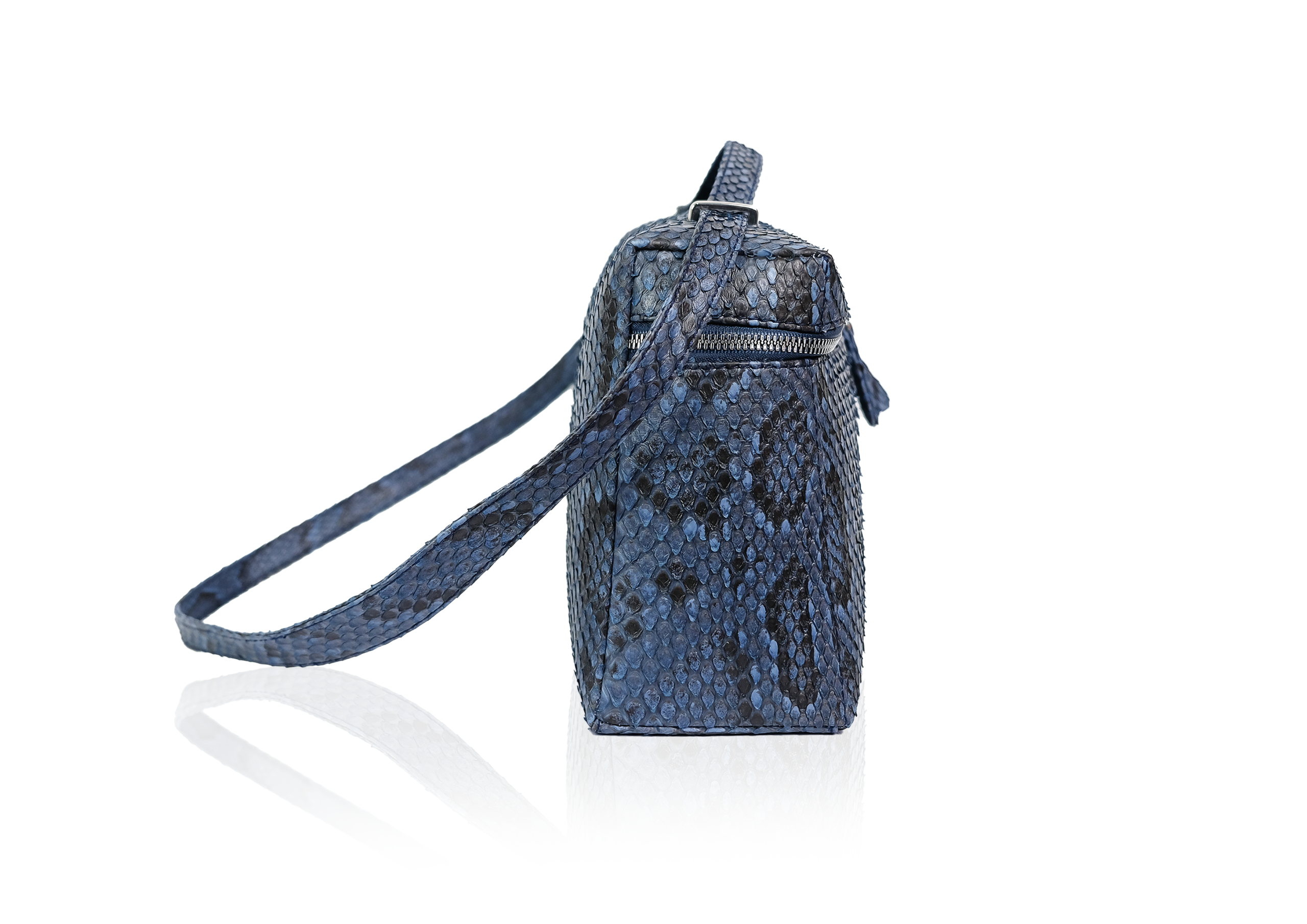 Picco Medium - Blue Morolus - Image 5