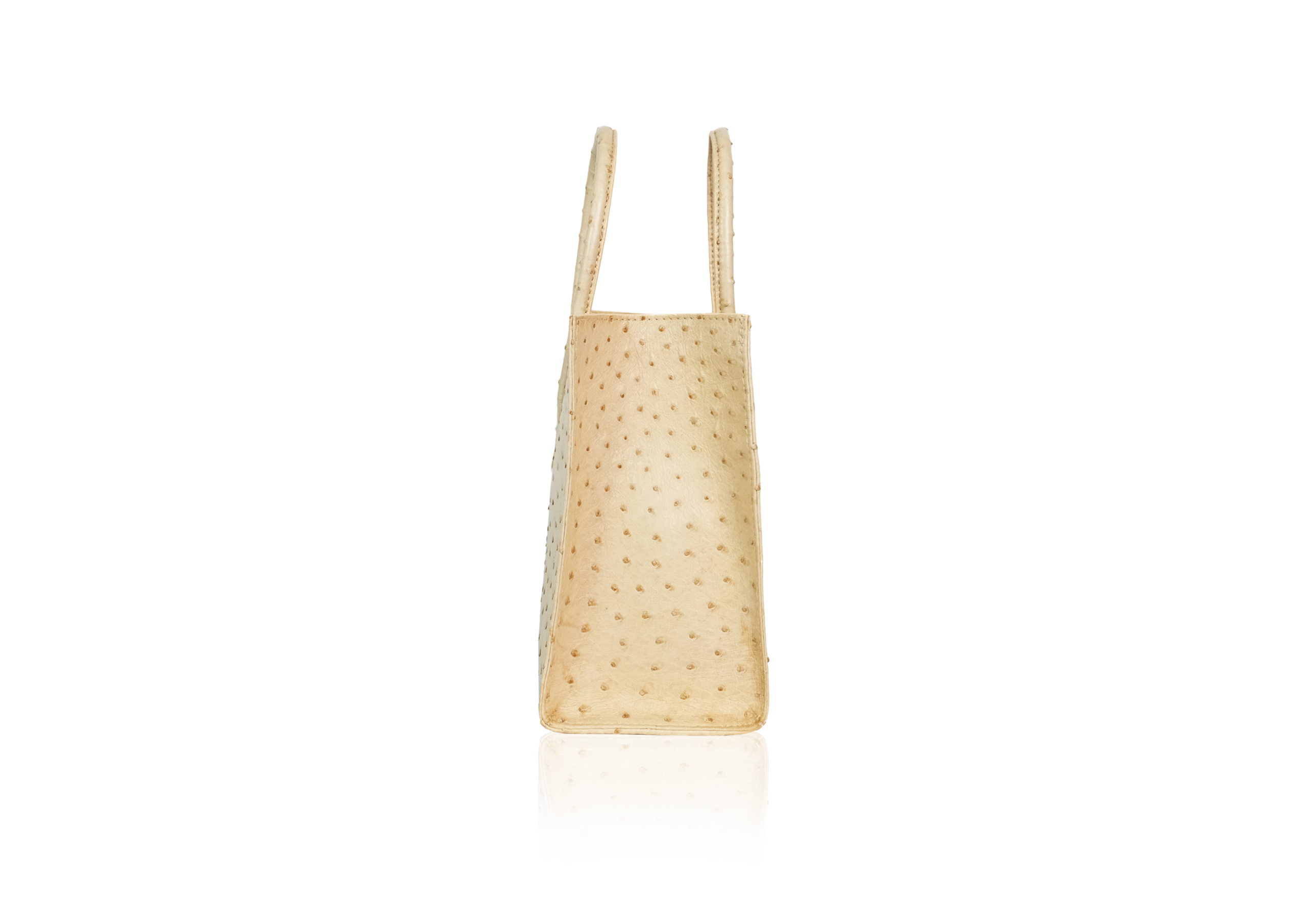 Roomy Tote Bag in Peanut Ostrich - Image 3