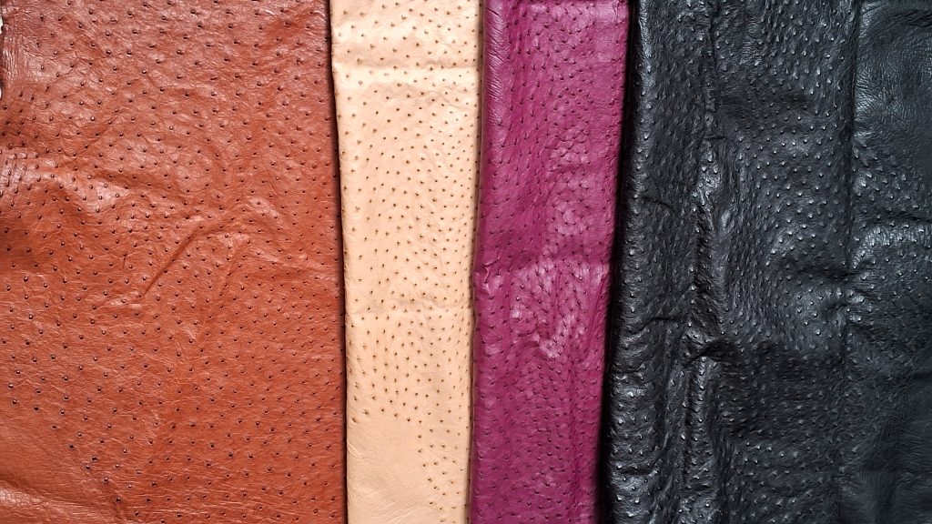 A selection of genuine ostrich leather hides in tan, cream, burgundy, and black colors showing the distinct and raised quill patterns used for luxury handle bags.
