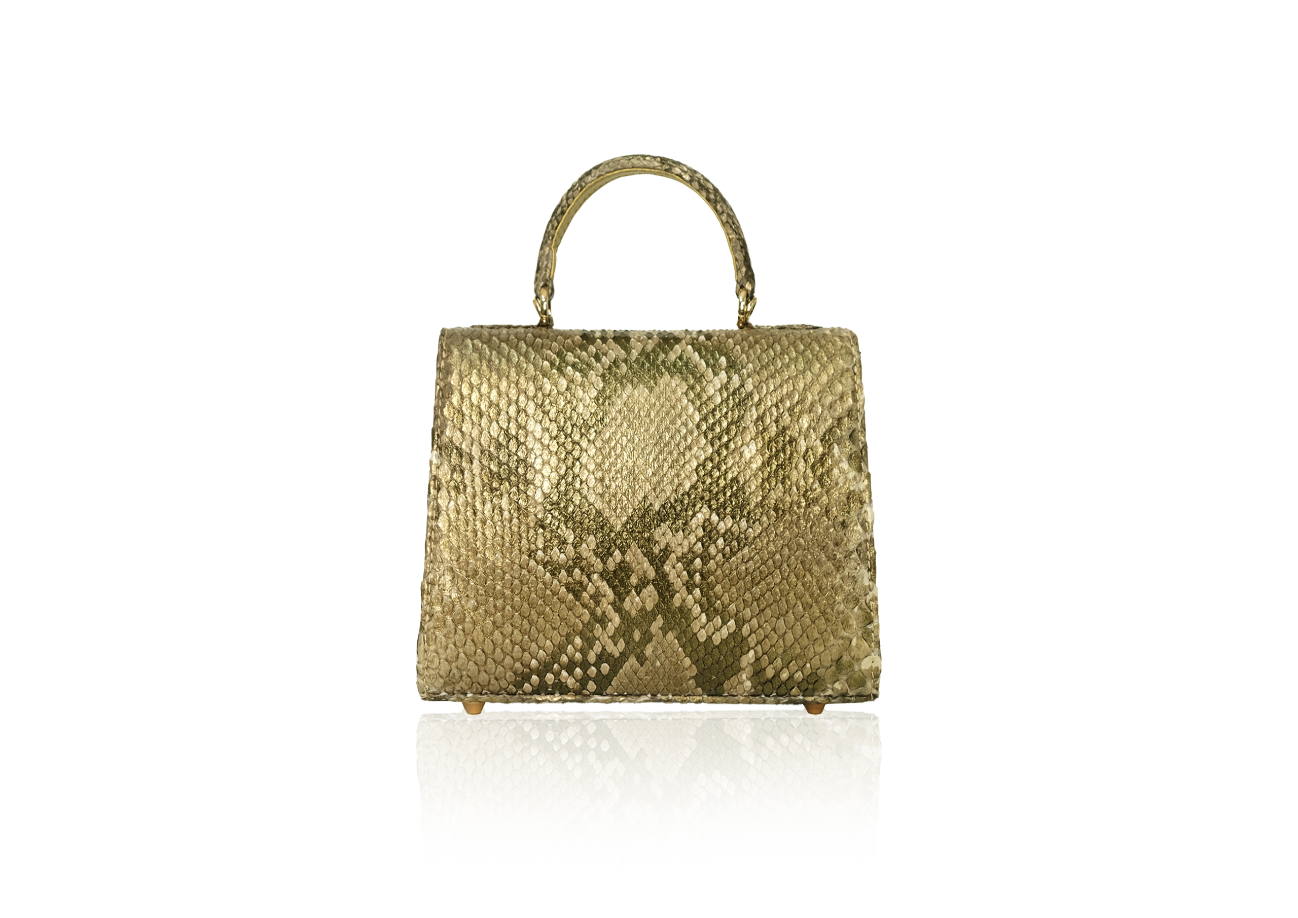 Luna in Persian Gold - Image 4
