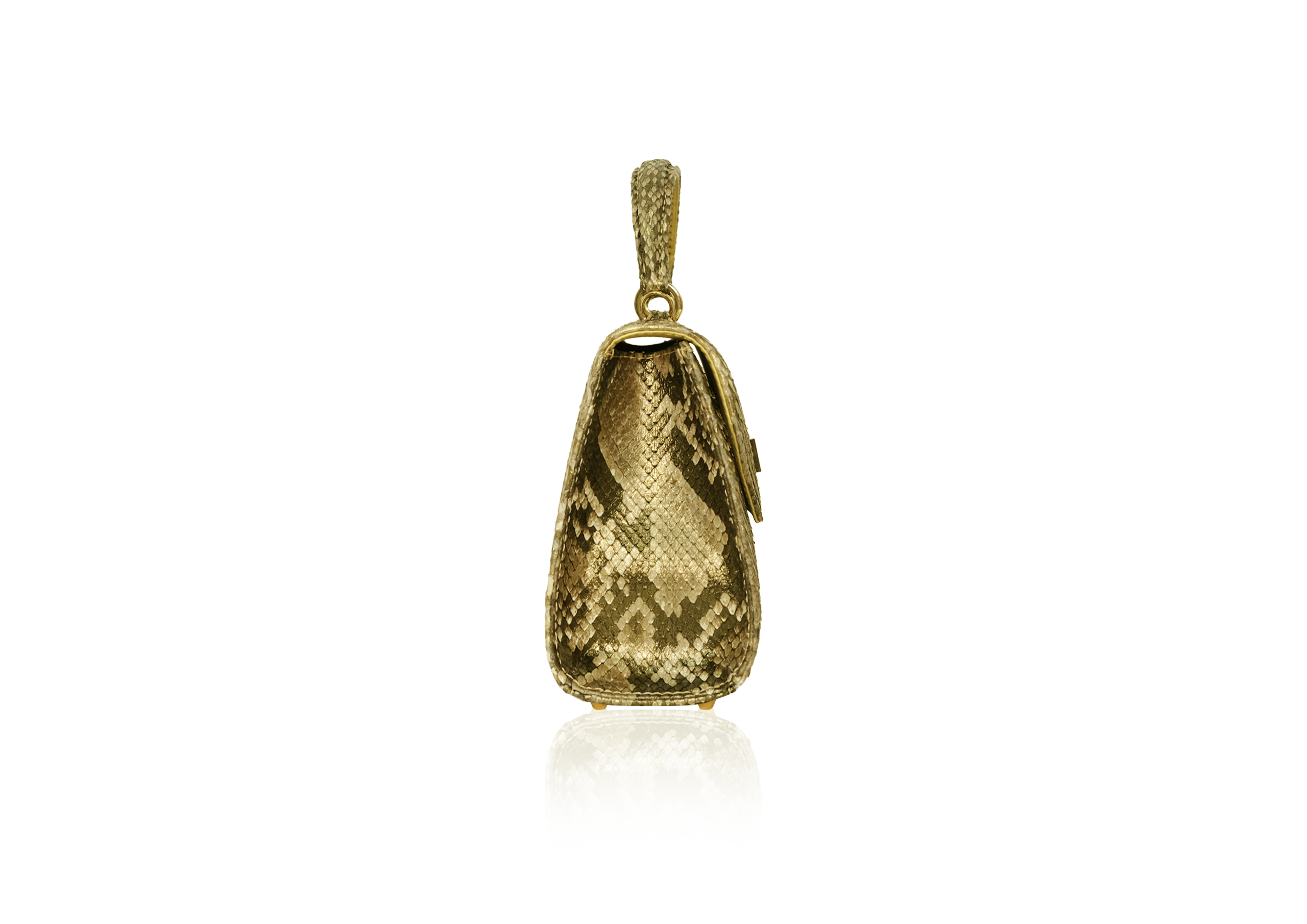 Luna in Persian Gold - Image 3