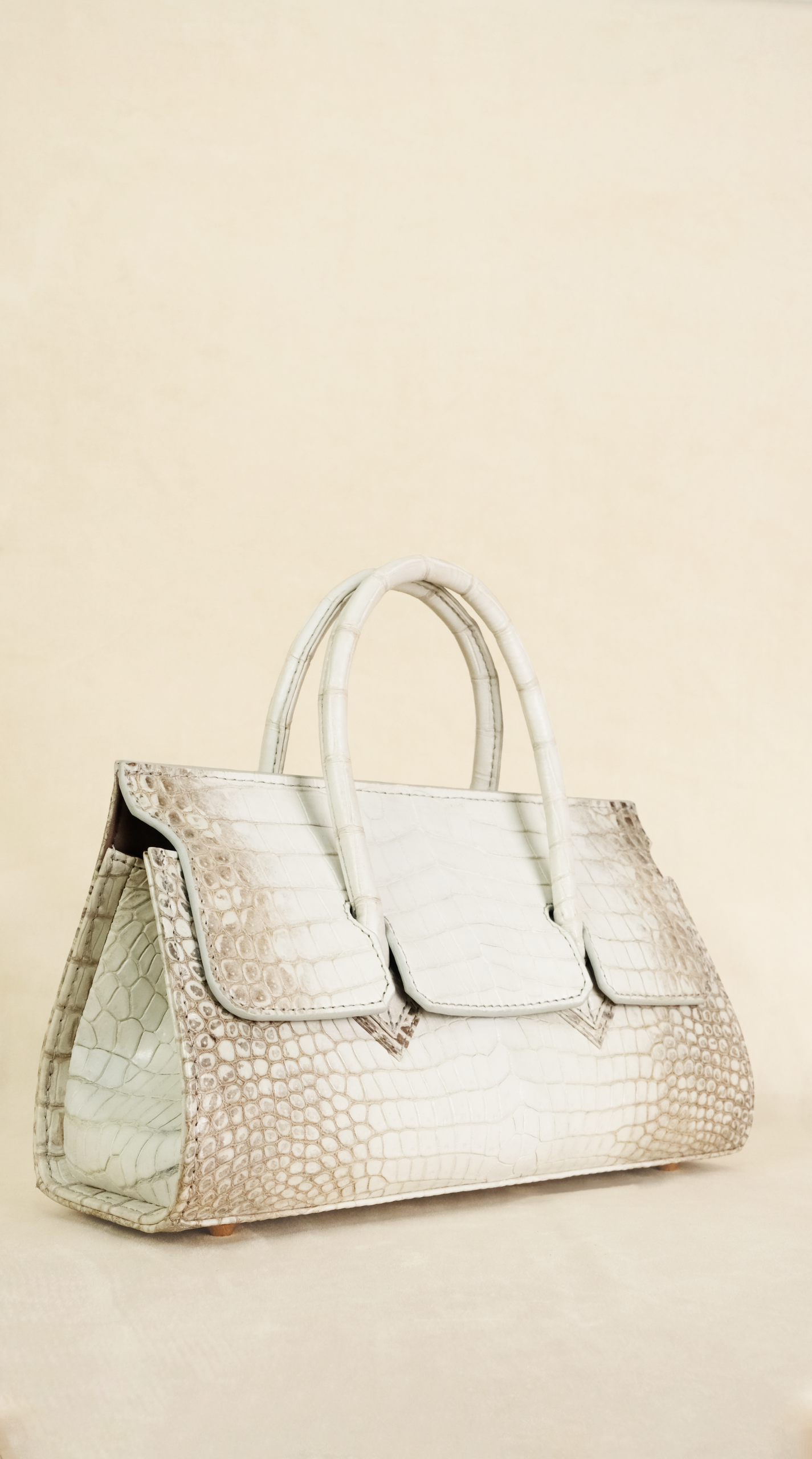 Birkin-style exotic bag in crocodile leather