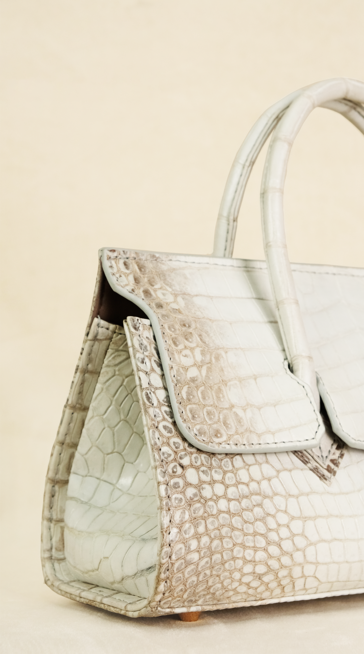 Affordable Birkin-Style Exotic Bag