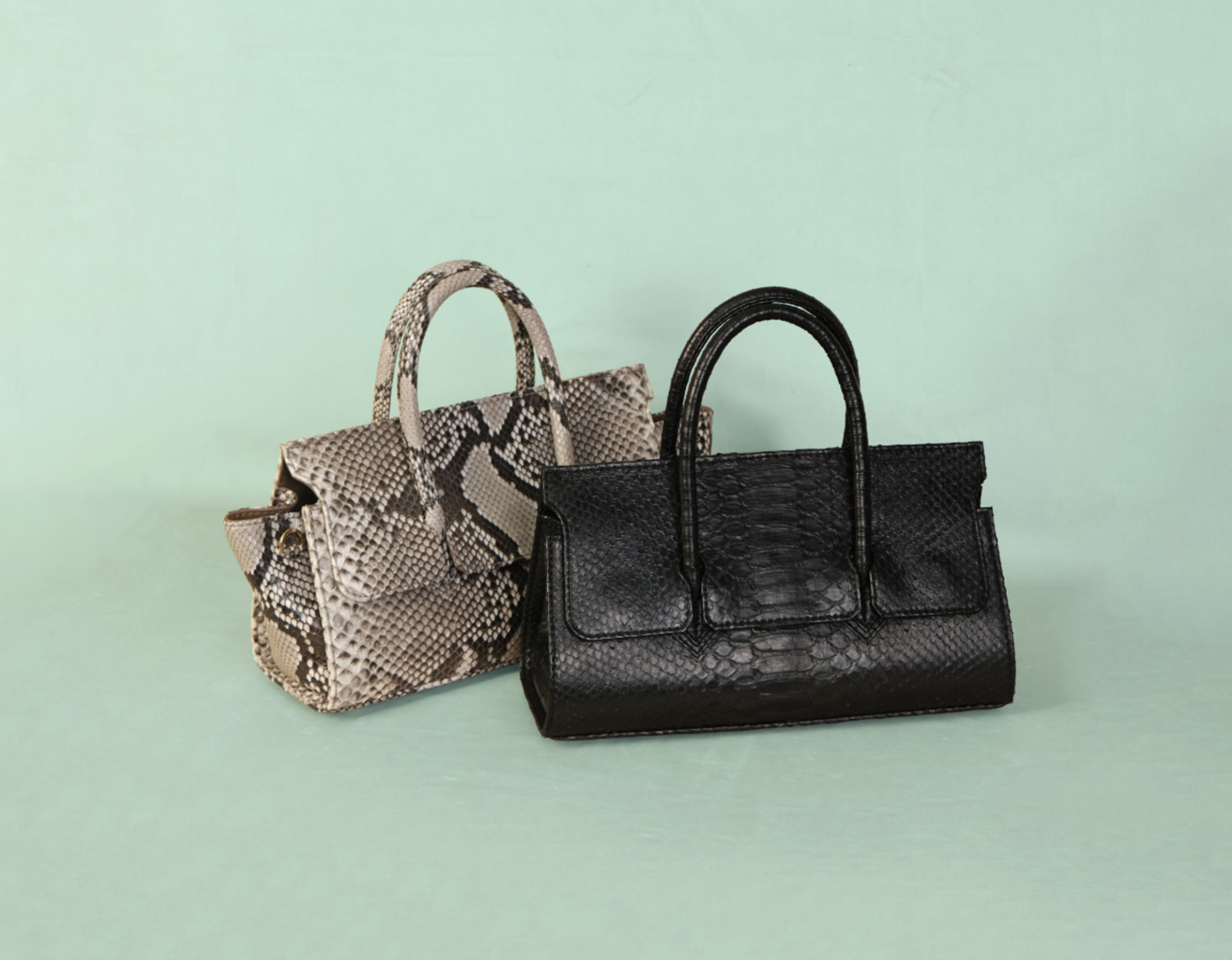 Birkin-Style Exotic Bag: What to Look for Beyond the Design?