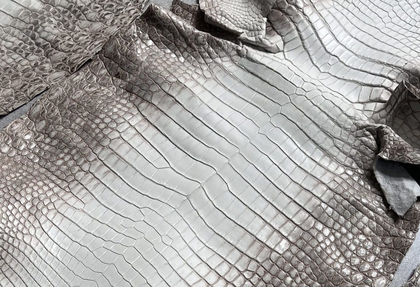 ostrich vs crocodile leather