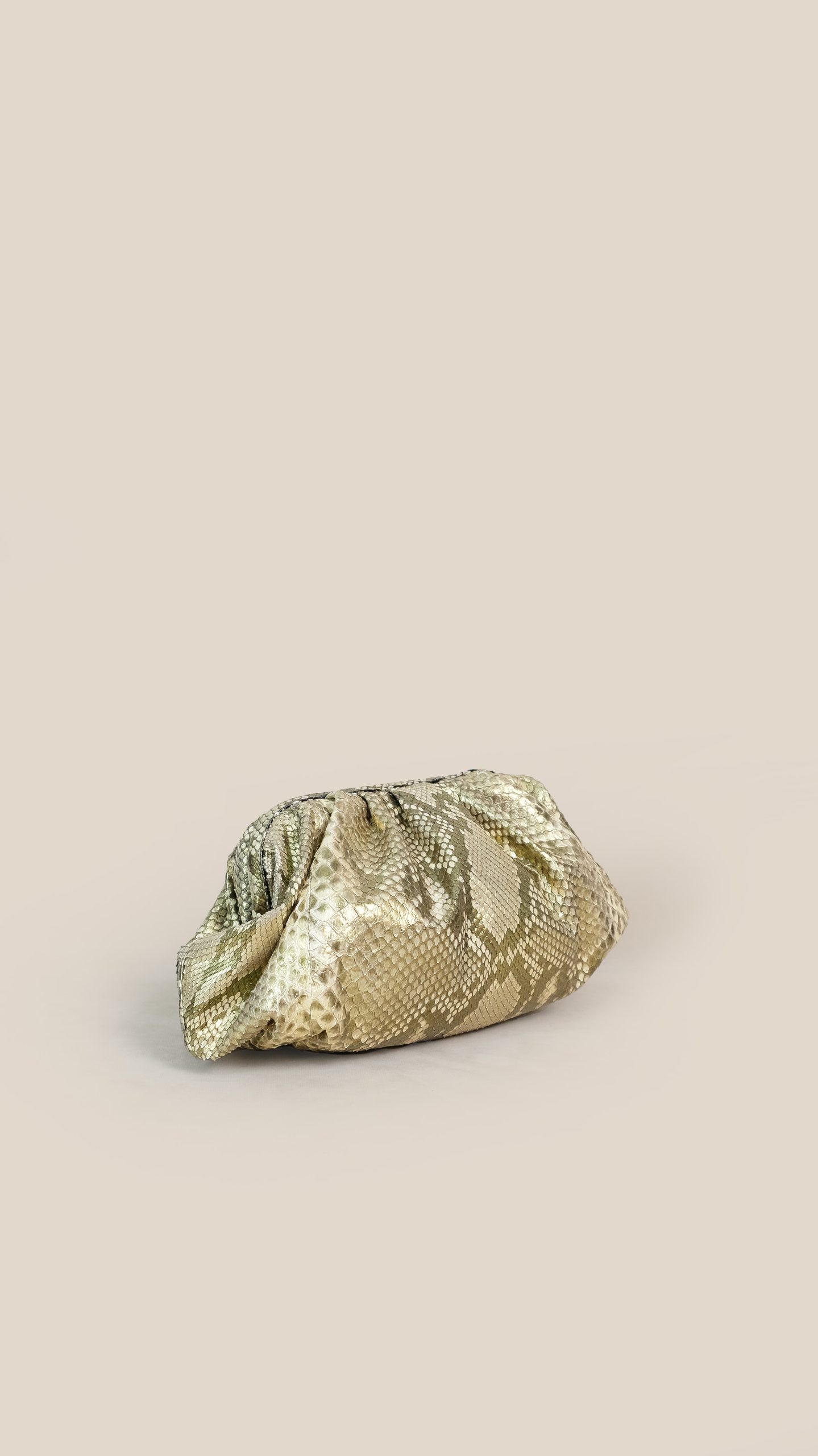 Luxury Premium Python Leather Purse
